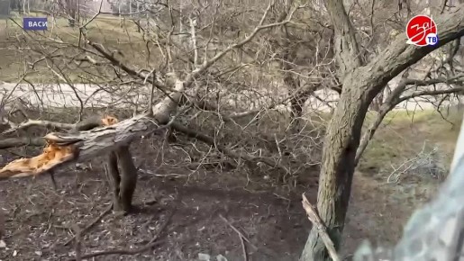 �� ��������� ����� �� ���������� ������� ���������� ����������� ������� ������� ��������