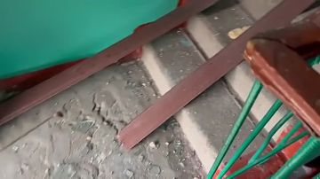 �����, 2 ����� 2026 ���� ����������� ���� ������� ����� ������� ���� �� ����� ������ ����������