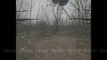 ��������� ���� 127 ������� 5 ����� ����������� ����� "������" �������� � ���������� � ����������� ������ ������ ����������