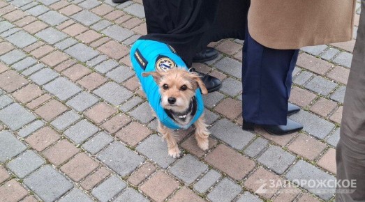 � ���������� � �������� ������������� ������ � ������� ���������