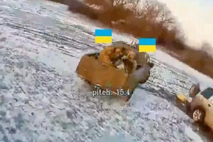 ���������� �������� ��������� ���� �������� �� ���������