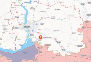 Российские войска освободили населенный пункт Веселянка в Запорожской области — Минобороны РФ