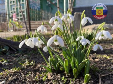 Доброе утро тро! Пусть этот добрый мартовский денек согреет Вас легким весенним дыханием, избавит сердце от злого зимнего льда, успокоит душу! Счастья Вам и замечательного настроения!