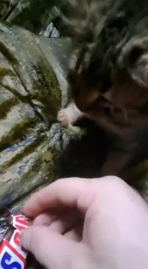 Доброе утро вторника, Запорожская область!