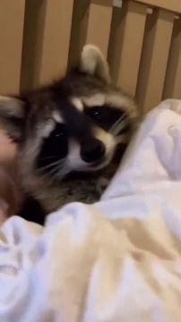 Доброе утро, друзья! Хорошего вам дня и отличного настроения!