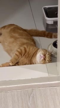 �� ����������, �����. ����� �������� � �� �������� ��� �� ������ ����