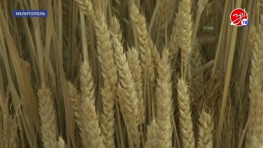 ��������� �������� �������� ���������� ������� ���������� � �������� �������� ��������