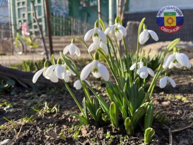 Доброе утро тро! Пусть этот добрый мартовский денек согреет Вас легким весенним дыханием, избавит сердце от злого зимнего льда, успокоит душу! Счастья Вам и замечательного настроения!