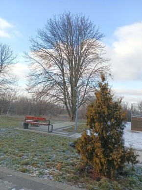 ������ ��� ������� ����! ����� ����� ���� ���������� ����� � � ���������� �����������! ������ ������������ ���, ���������� ������������ �����, �������� � �������!