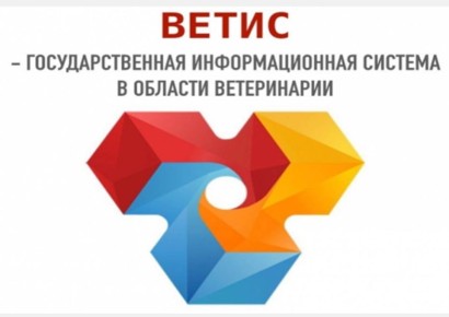 ����� ���� ������: ���� "�����" �������� �������������� �� ����������� �������