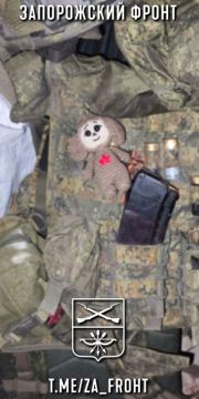 ���� ������� ���� � ������������ �����������