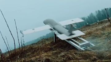 ������� ������ �� ��������� � ����������� ����� ���������� ��������� � ��� ������������ ����� �������, ����������� � ���������� � ���������� ������, ����������� ����������������� ����� � ���������� ����������� �����������