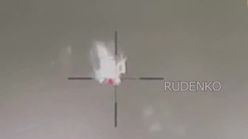 ������ �������: �������� ����������� ����� ������� ���������� ������� ����� � �������� ���������� ���������� � ����������� �������