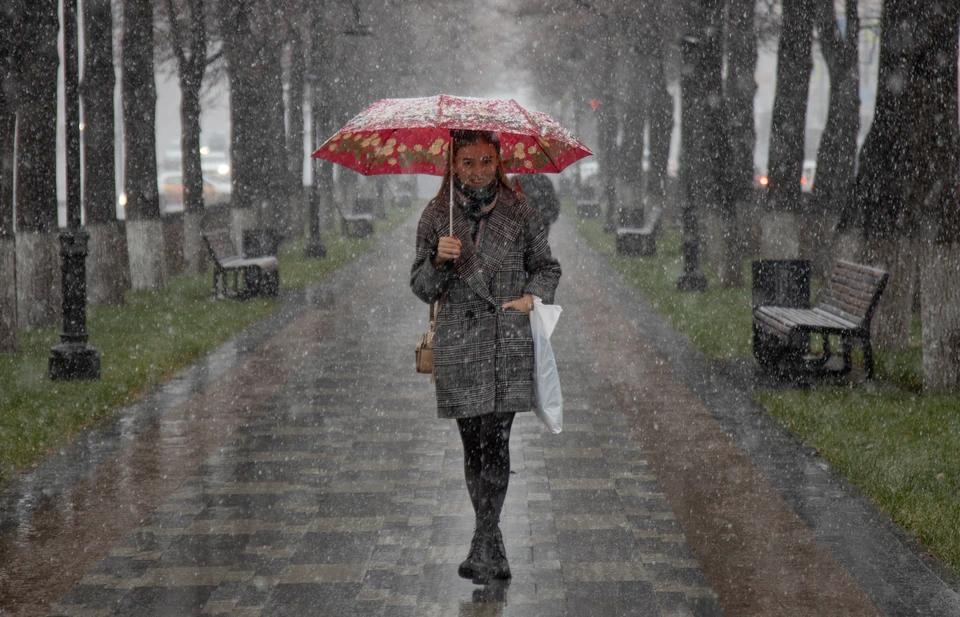 В Запорожской области ожидается до 11 градусов тепла