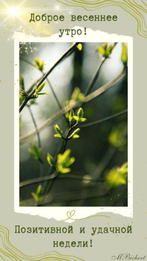 С Добрым утром Днепрорудное