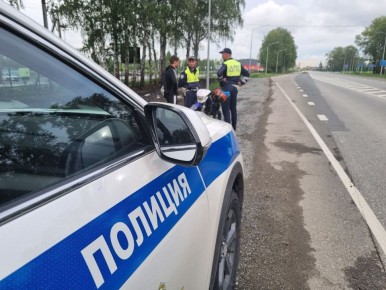 ���������������� �������������