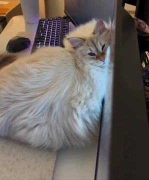 ����� � �������� ������. ����������� �������� ������� ����