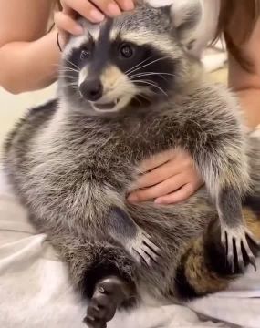 Доброе утро, друзья! Хорошего вам дня и отличного настроения!