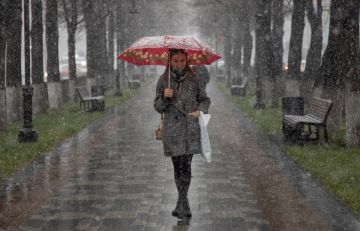 � ����������� ������� ��������� �� 11 �������� �����