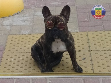 � ������ �����! ��������� ���!