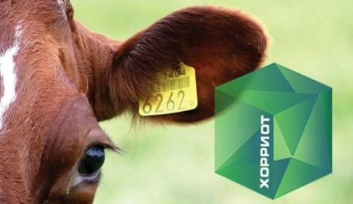 �����: ������� ����� ���� ������ƻ �������� ������� �� ������ � ����������� ��������������� �������������� ������� ��������