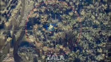 ����������� �����. ���������� �����������