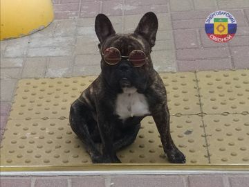 С добрым утром! Отличного дня!