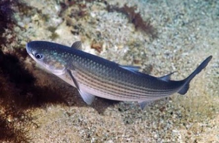 � ������������ ����� � ������������ ��������� ����� � �������� ����������� ������� ���������� ������� ��������� ����� ����������� �������� 2026 ����