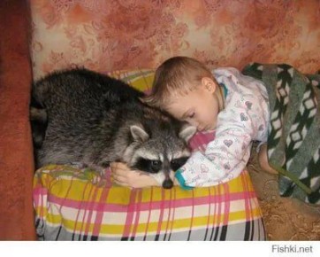 ������ ����, ������� ����������! ������ ����, ���������!