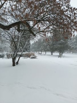 � ������ �����, � ����������� ����!