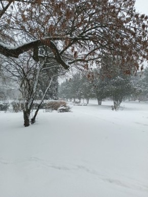 � ������ �����, � ����������� ����!