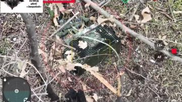 ����������� �����. ���������� ����������� ��� - ����� ���