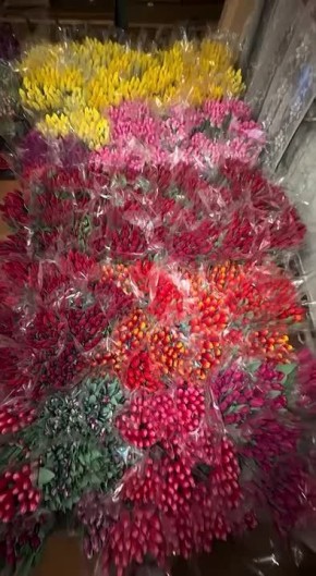 ���������� ����� ��������� �������