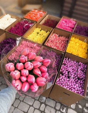 �������� � 8 ����� � ����� ��������!