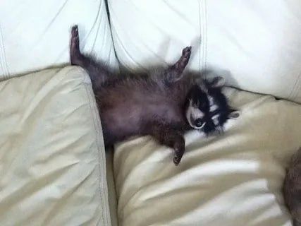 Доброй ночи, дорогие подписчики! Доброй ночи, Запорожье!