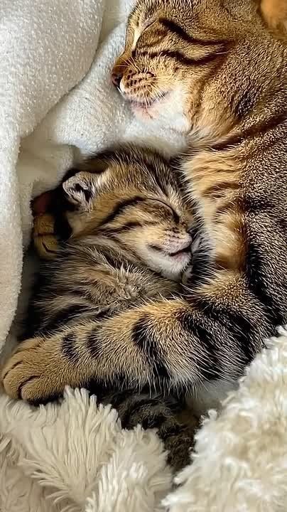 День пролетел. Насыщенный выходной подошел к концу, удобно укладываемся и спим