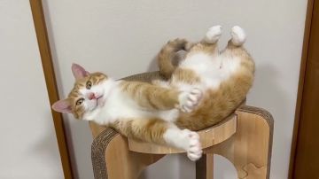 ������� �������. �� ����� �������, ����� ������ �� �����