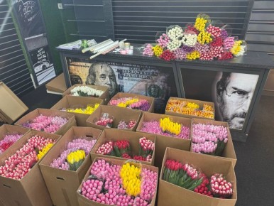 �������� � 8 ����� � ����� ��������!