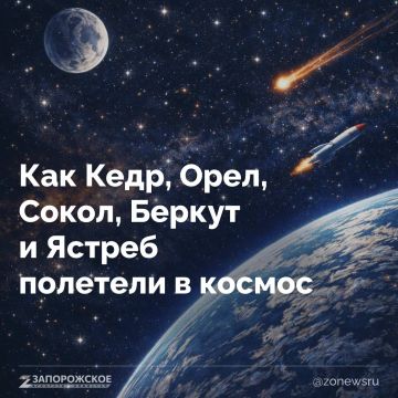 �� 3461 ������� ������� ����� 20 � ������ �� ���������� ������� ����� �� ������� �����