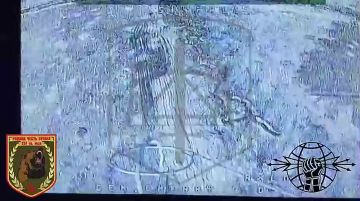 ���� ��� 291 ������������ ��������������� ����� ���������� ���� ����������