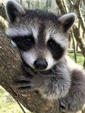 ������ ����, ������! �������� ��� ��� � ��������� ����������!