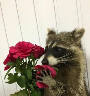 ������ ����, ������! �������� ��� ��� � ��������� ����������!