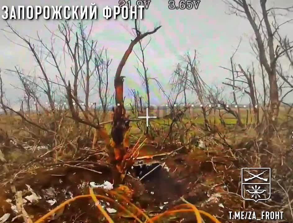 Опорник в труху. На Запорожском направлении операторы «Джанго» и «Костэн» 3-й штурмовой роты 291-го гвардейского полка продолжают методично разносить опорники всушников