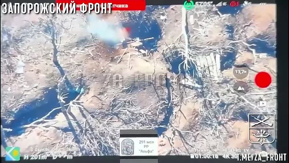 ����������� �����. ���������� �����������