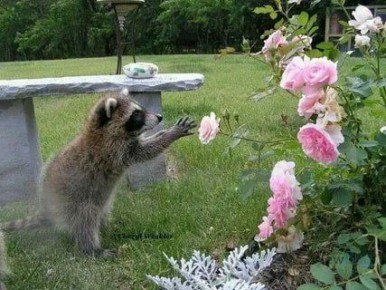 ������ ����, ������! �������� ��� ��� � ��������� ����������!