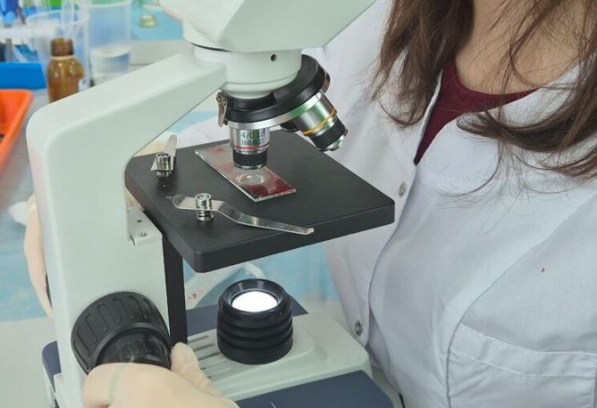 �������� ����������� ������������ ���� ��������������� ���������������� ������������ ������ ������������ ������������ ������