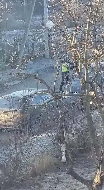 ���������� ���� ������� ����������� "���" � ��� "�������"