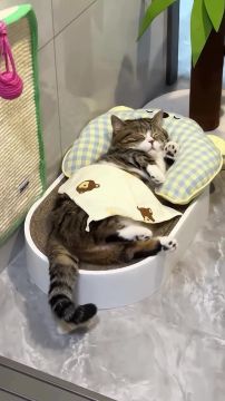 �������� ���������. ������� ������� ������, ���� ������ �� ������