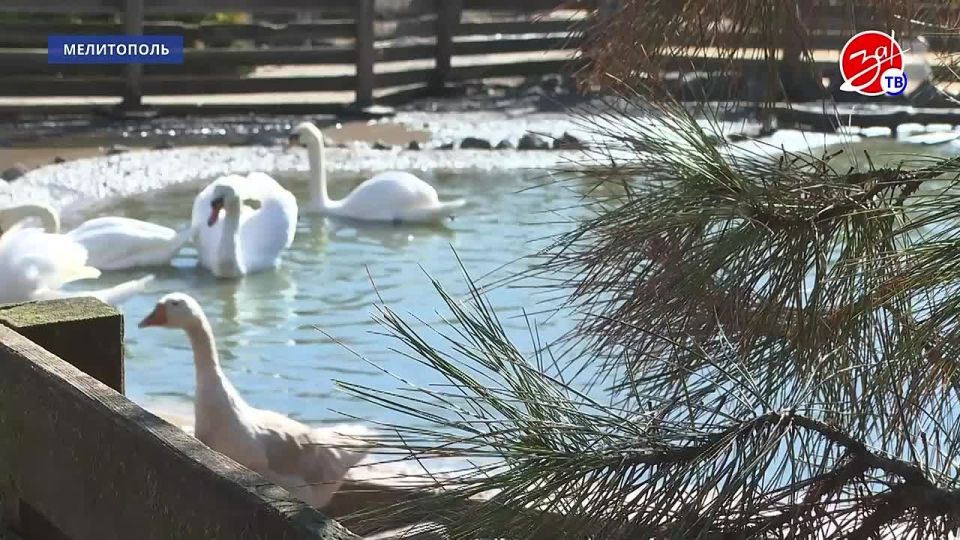 ����������� ������������ ������ ������ ������� ��������� ������������ ������� �� ������������� ������