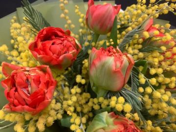 "�������� �����, ������ � �����"